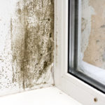 mold damage knoxville, mold removal knoxville