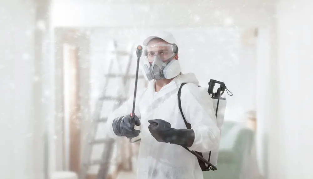 Pest control worker with mask