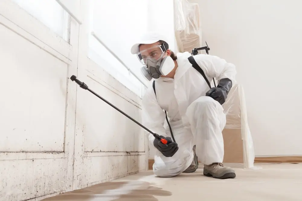 Exterminator in protective gear spraying chemicals