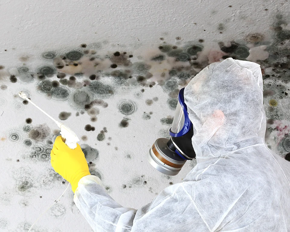 Mold removal with safety equipment